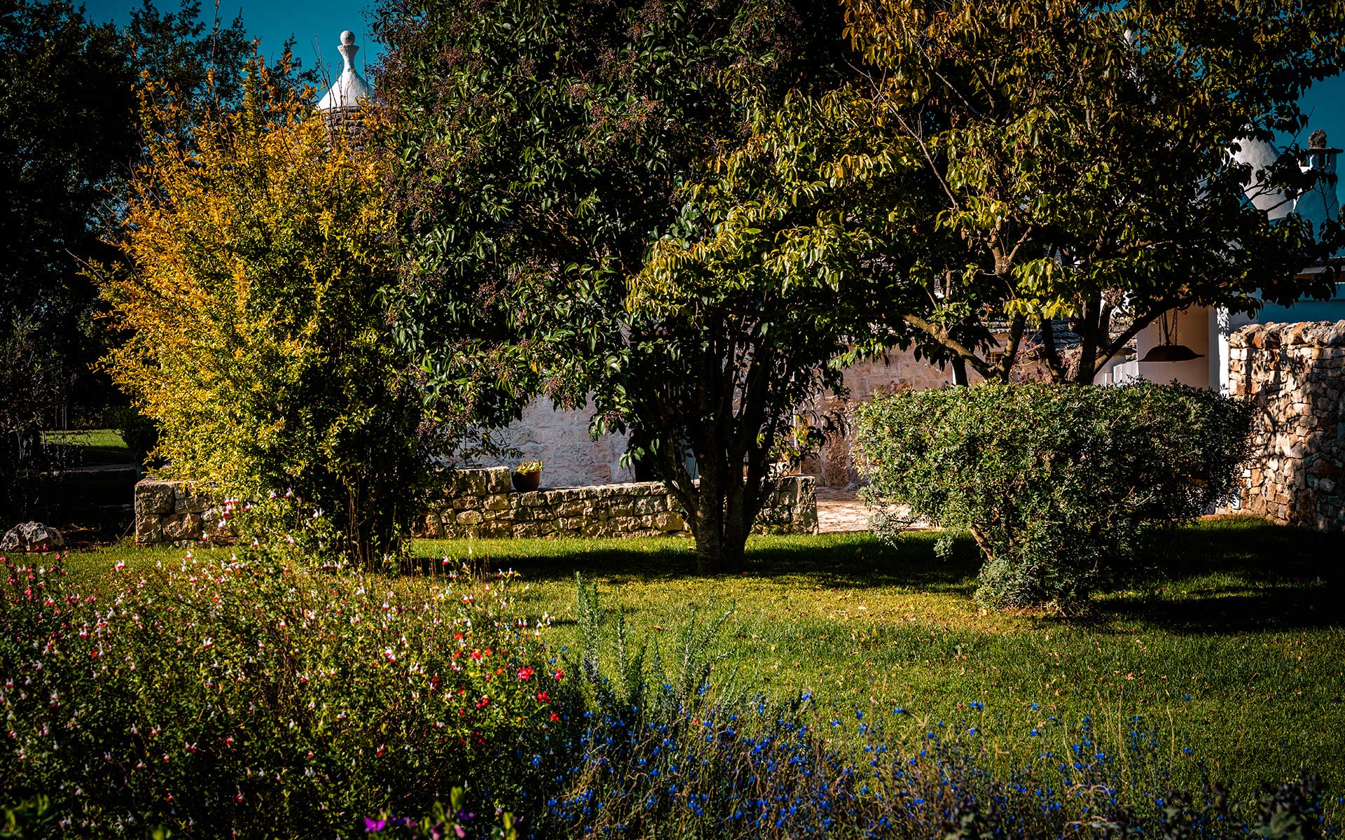 Giardini e Pineta a Borgo del Tempo Ritrovato in Valle d'Itria